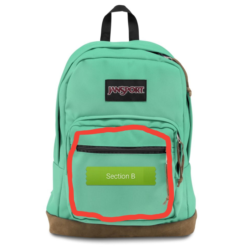Painted Backpack (1 panel) – The Enchanted Brush